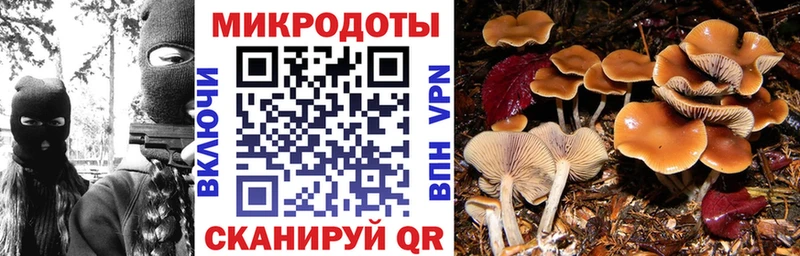Галлюциногенные грибы прущие грибы  Иланский 